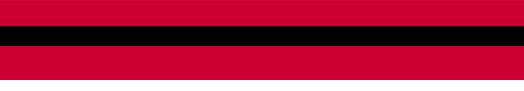 Bars & Stripes | Bar Coding Software